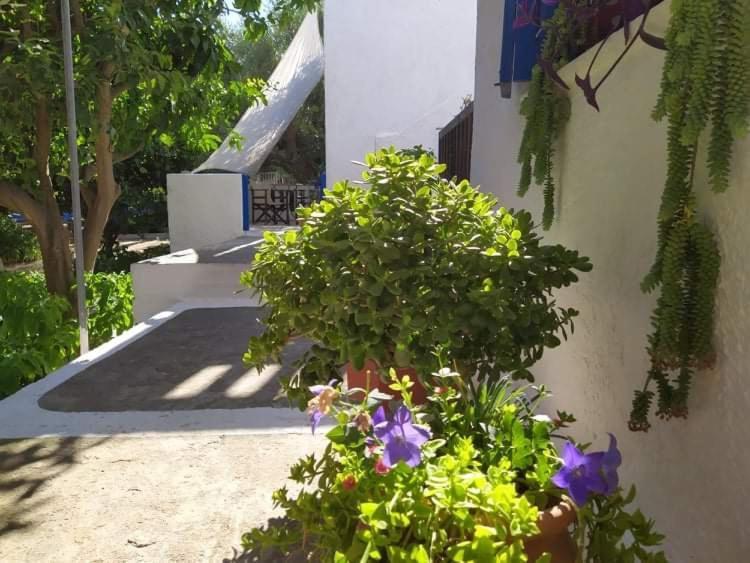Stamoulis Apartments Kampos Marathokampou Exterior photo
